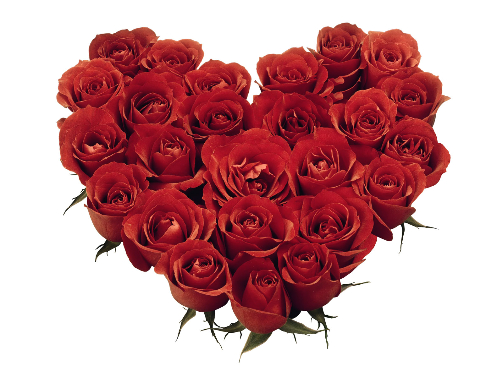 http://2.bp.blogspot.com/-dXMWp5wqDVA/UPTNyeOOq0I/AAAAAAAAA28/KL4a5f3gcC4/s1600/Valentine+day+2013+wall+papers.jpg