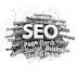 What is Search Engine Optimization ?