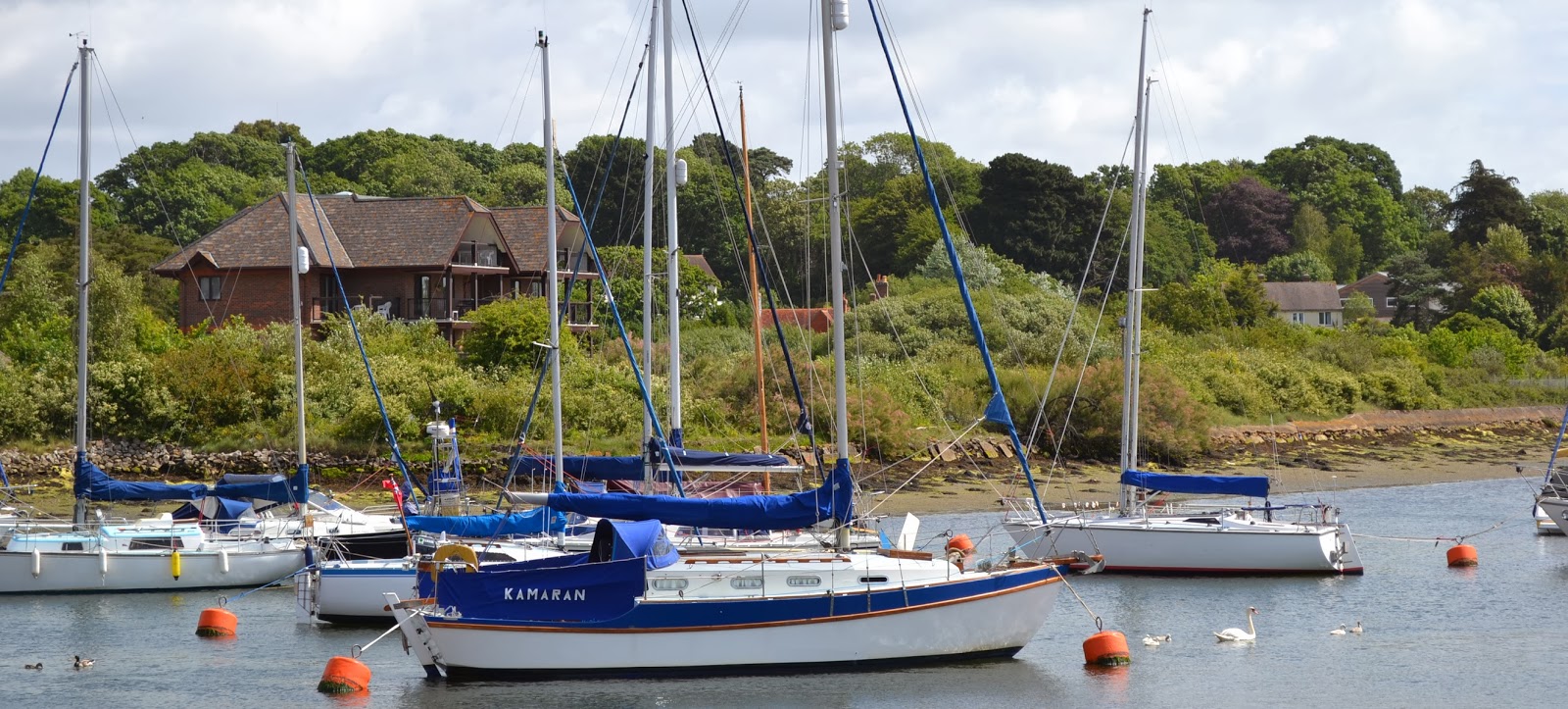 New Forest Cottages Holiday in Lymington with New Forest Cottages