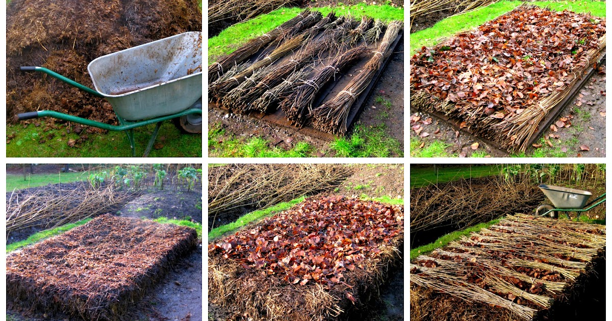 up the garden path diary of a hotbed