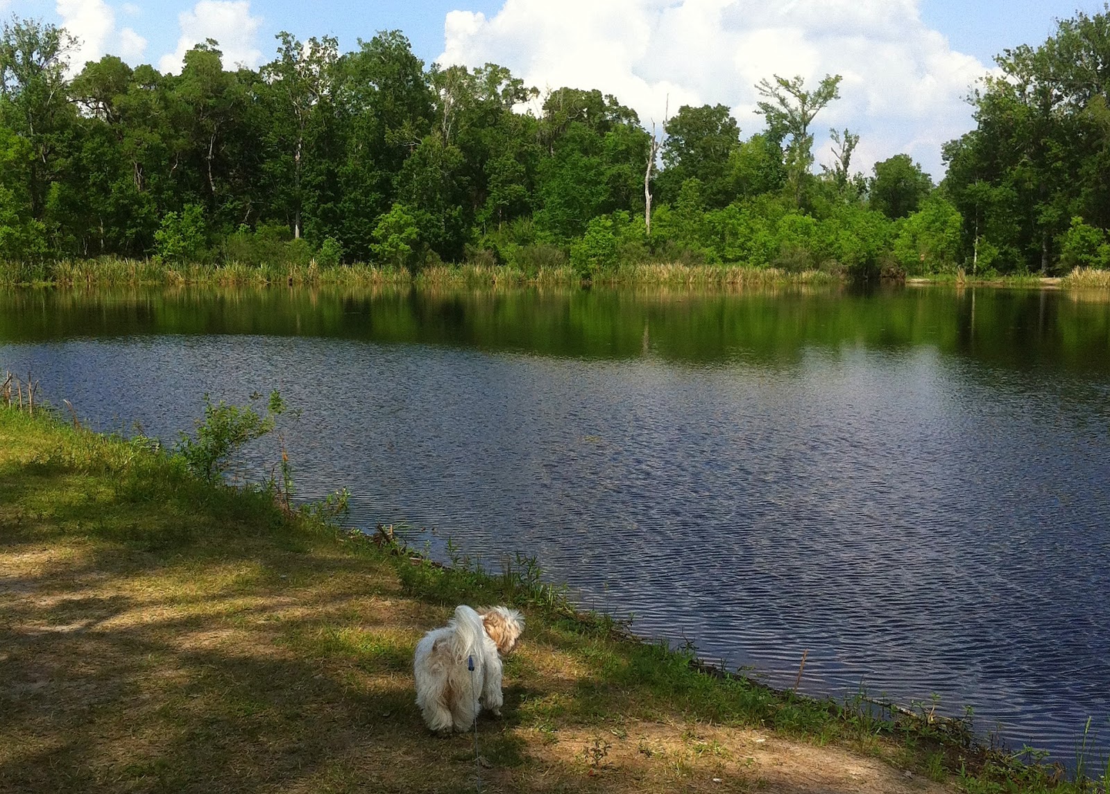 PALMETTO ISLAND STATE PARK ABBEVILLE, LA Lily loves Lola