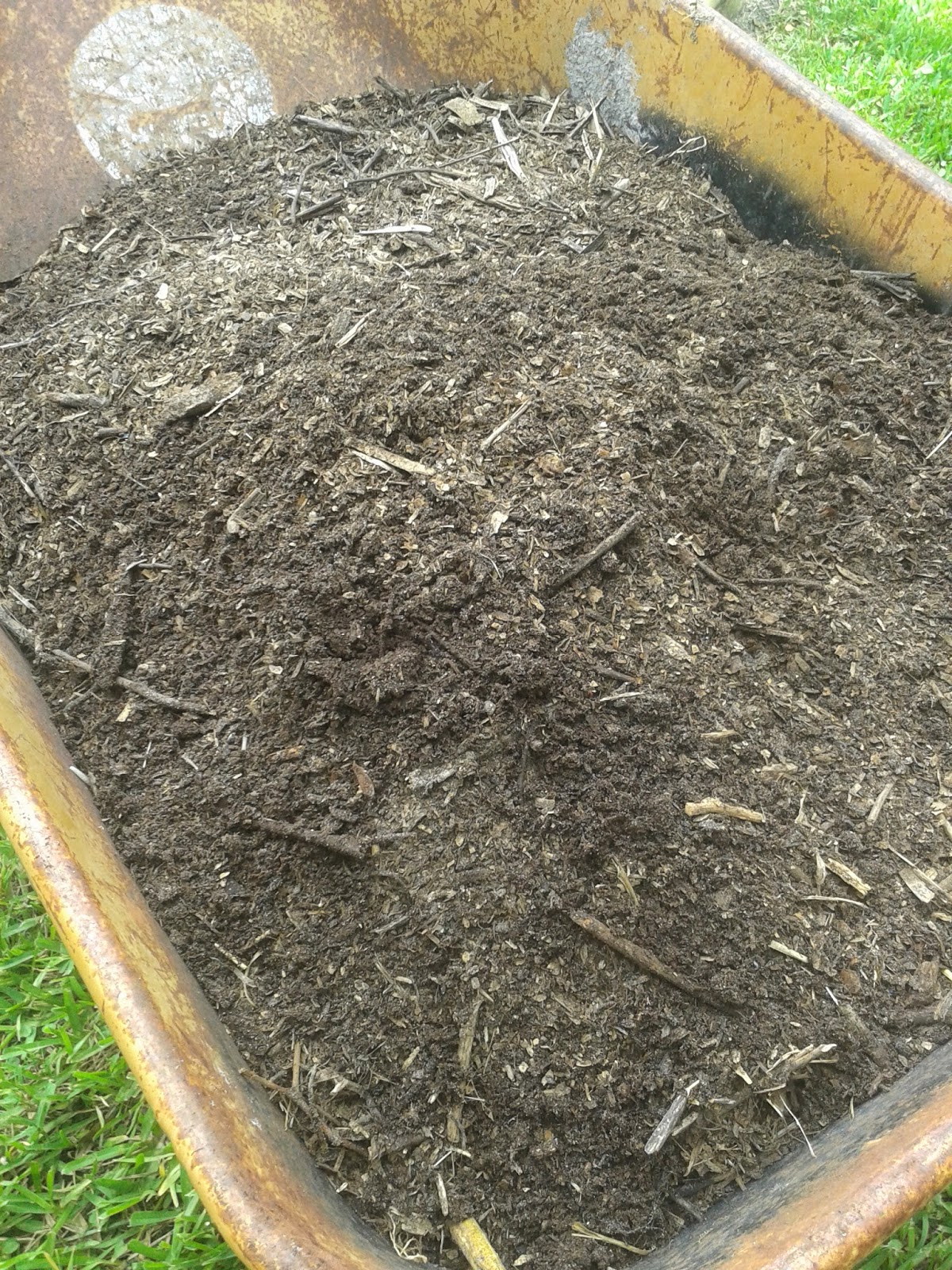 Growing Food in Florida Composting with chickens