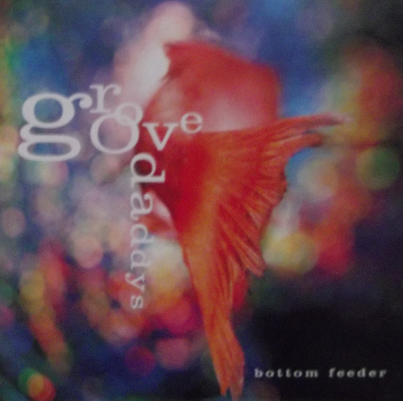 Raised On Canadian Radio Artist Groove Daddys Album Bottom