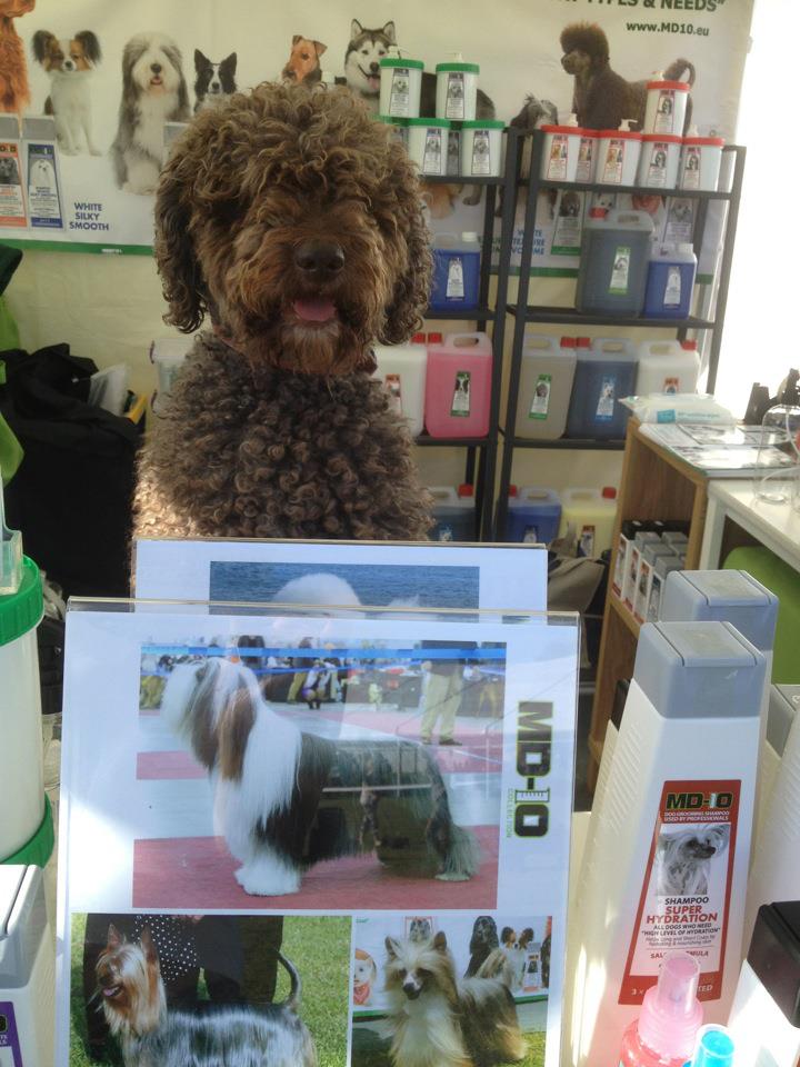 Professional Dog Grooming Shampoo MD10 Collection Champu para Perros