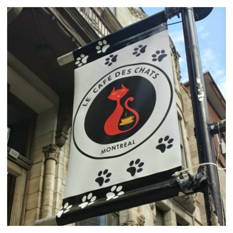 Montreal's first Cat Cafe CafédesChats NaNa Toulouse