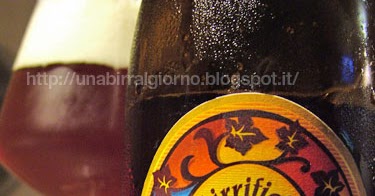 UNA BIRRA AL GIORNO: Troll IPA