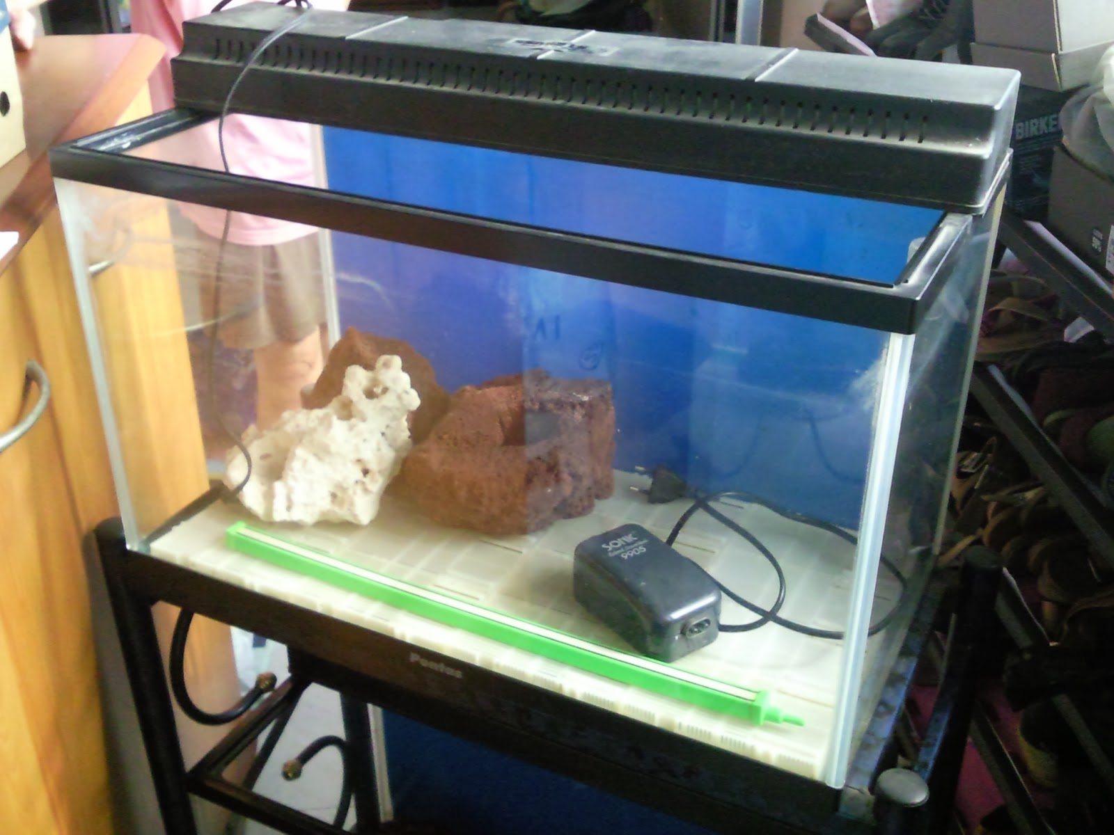 Tropical Fisher Man Fish Tanks And Aquarium CRS 2 Tiers x 2ft Fish