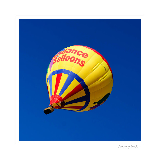 Riding high in a hot air balloon  — it's all about colour! © SB   Copyright Shelley Banks, all rights reserved.