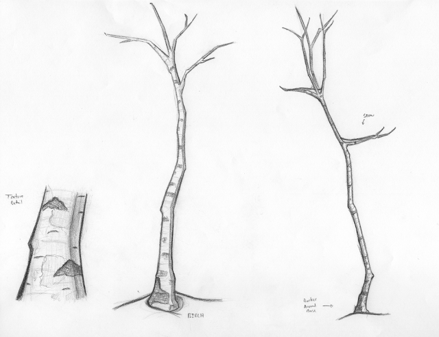 jackson.miller | art.feed: Stumped | Tree Styles