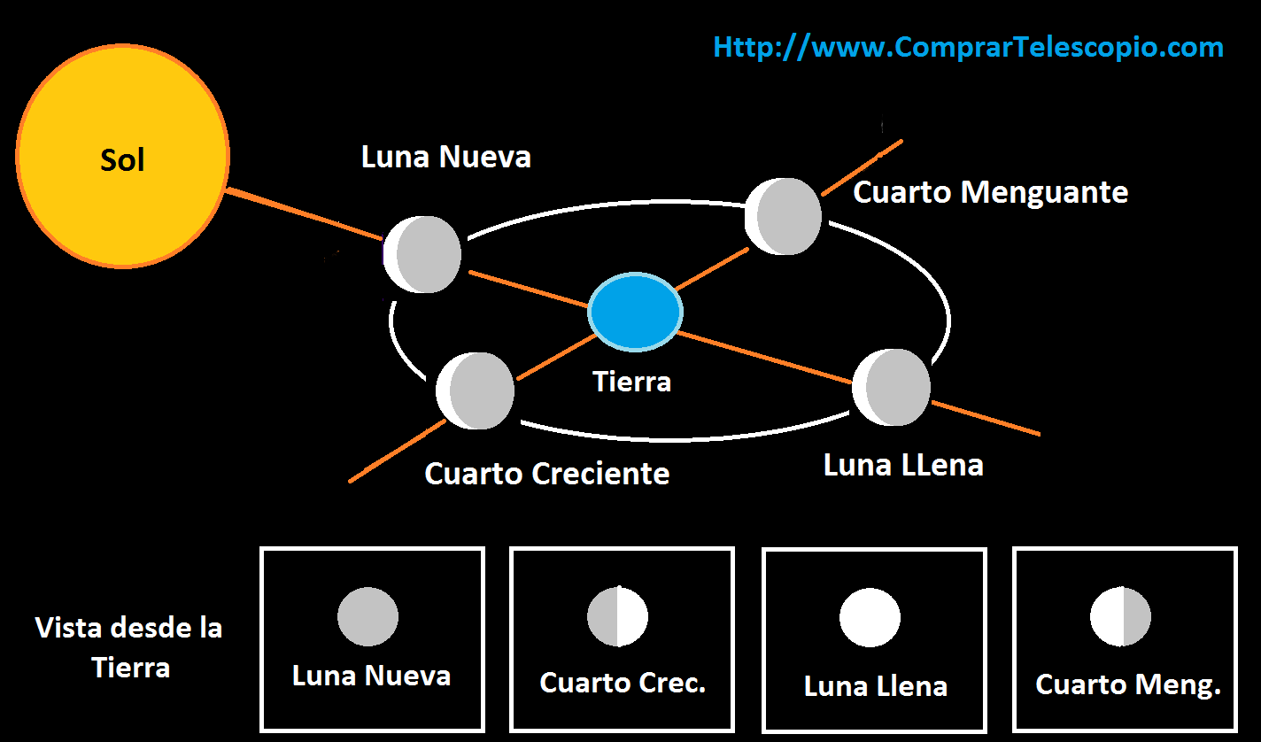 Las fases de la Luna Astronomía, ciencia y unos telescopios