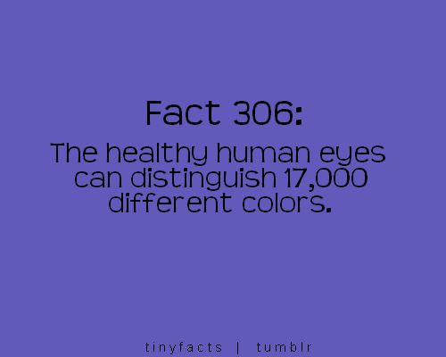 Muhammad Nouman Ali sheroz Awais iqbal Talha Mohsin Riaz: facts quotes