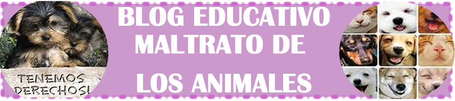 BLOG EDUCATIVO EL MALTRATO DE LOS ANIMALES