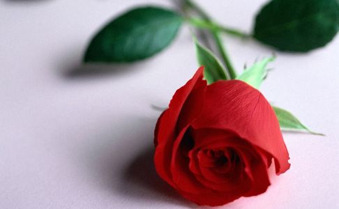 Kalau Kamu Masih Suka Ya Bilang Suka