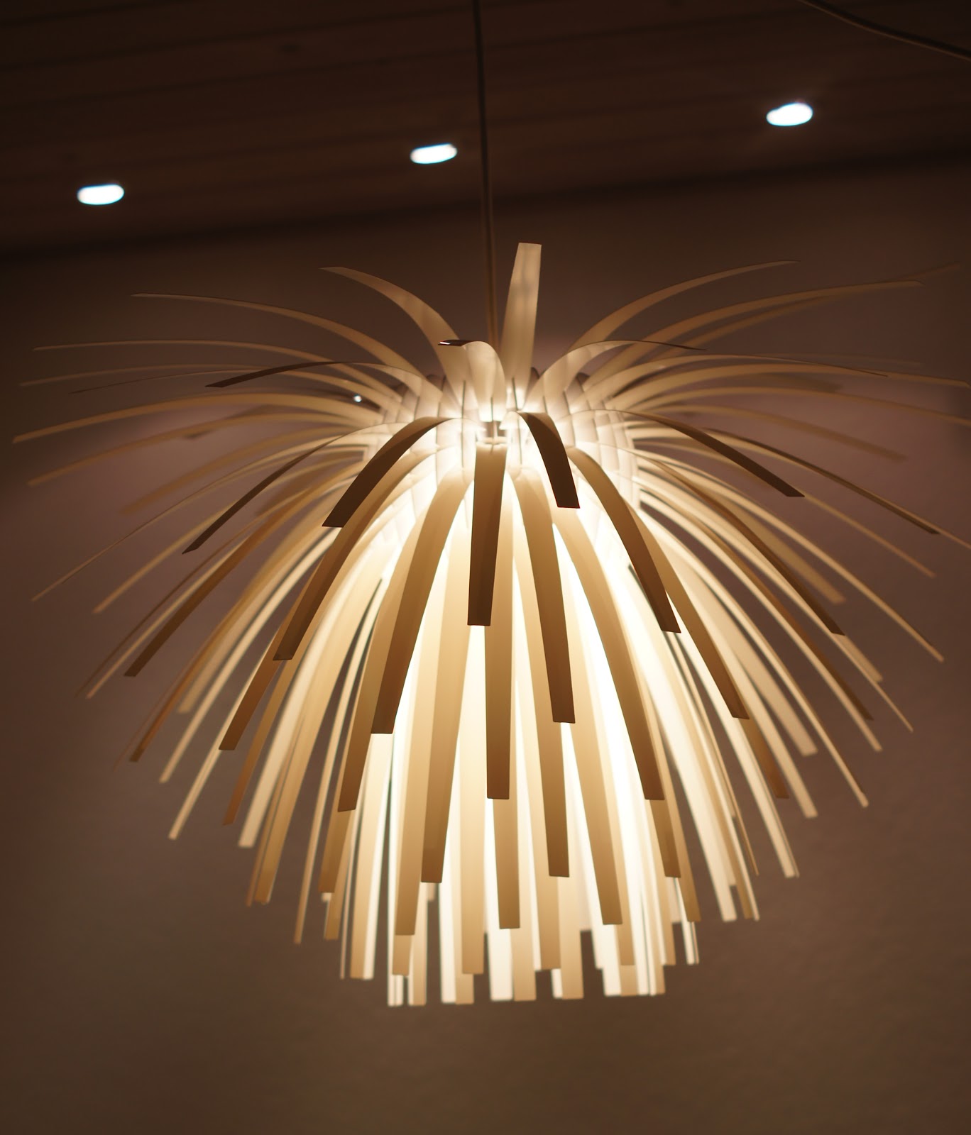 Coco & co: let there be light...