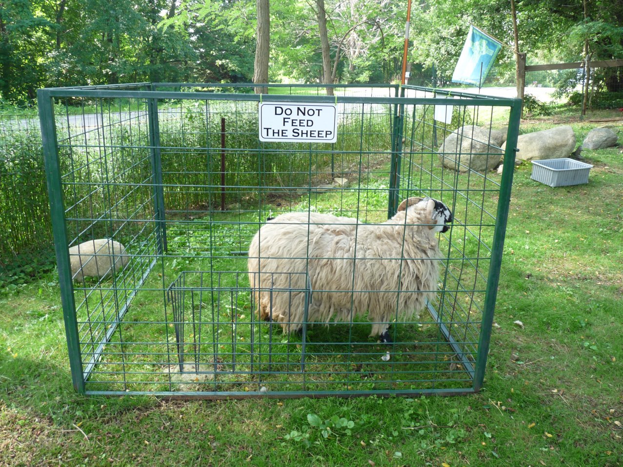 Hill Shepherd The New Portable Sheep Pen Set Up