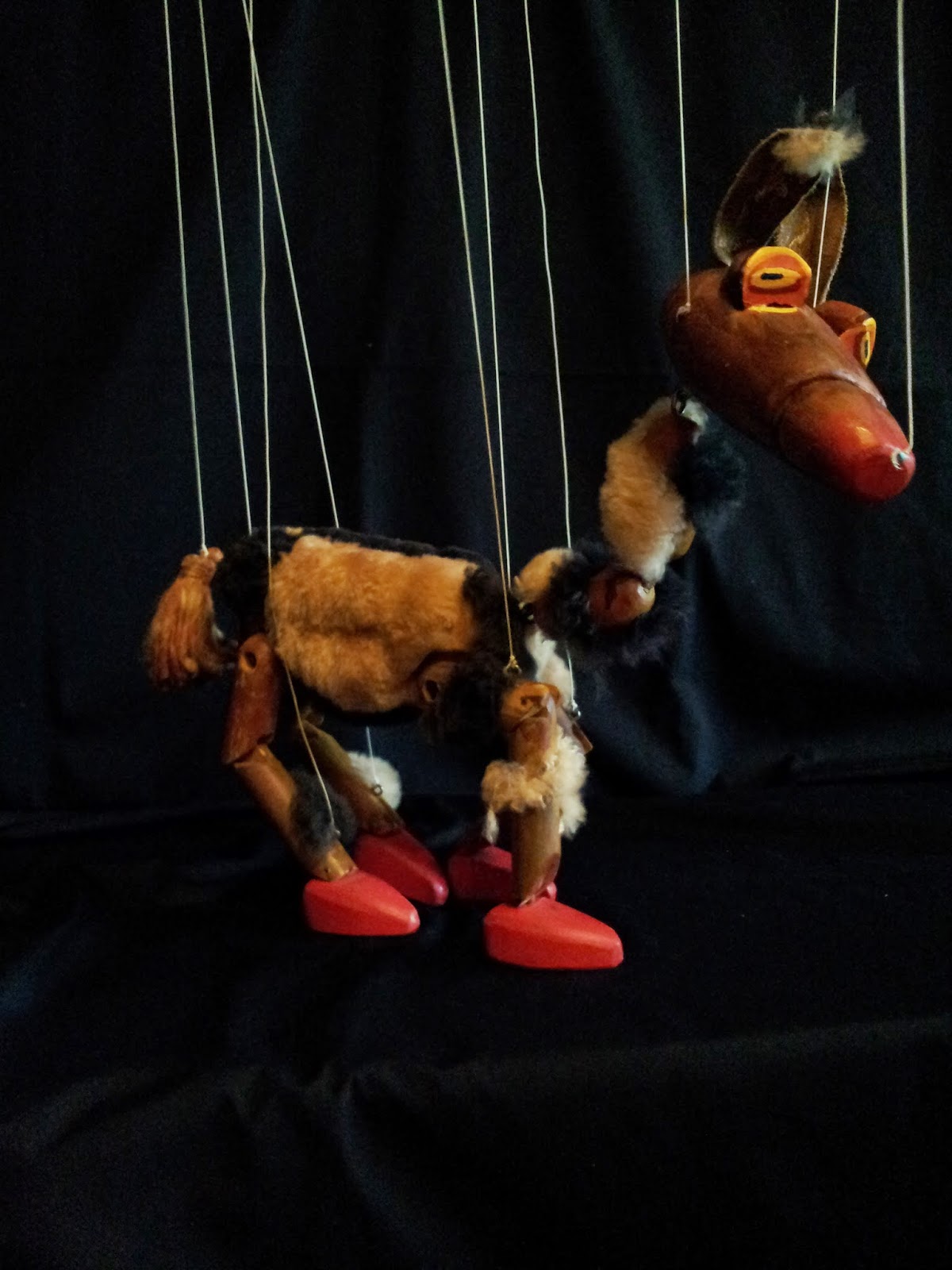 STRINGS ATTACHED PUPPET THEATRE NZ Gallery 10 the doctor