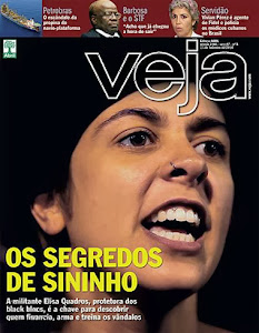 Download Revista Veja Ed. 2361 – 19.02.2014 capa380 img