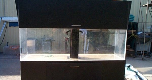 Craigslist Com Phoenix >> Giant Aquariums: SALT WATER FISH TANK 300 GAL. - $1000 (TUCSON) Craigslist Com Phoenix >> Giant Aquariums: SALT WATER FISH TANK 300 GAL. - $1000 (TUCSON)
