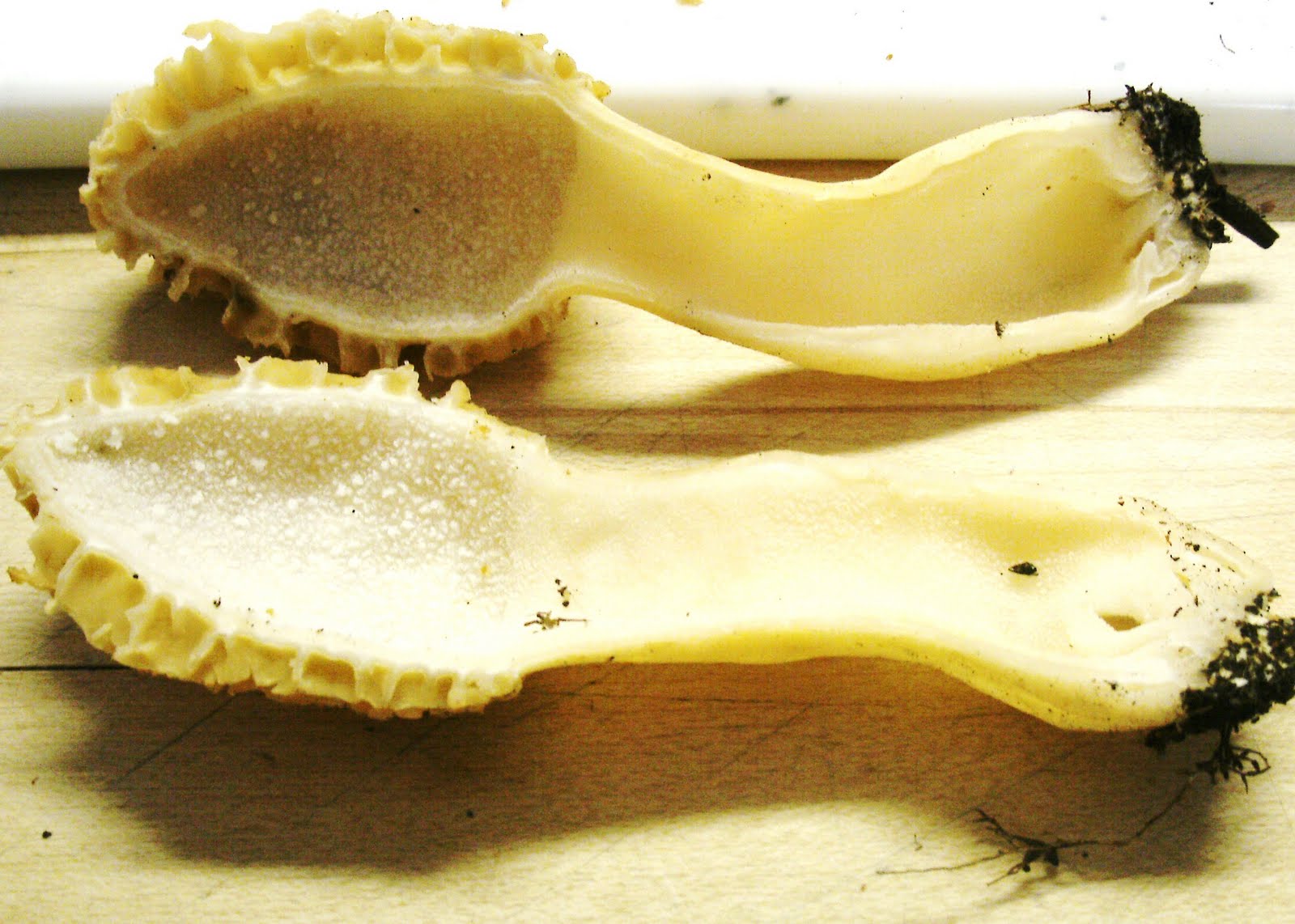 The Anabolic Gourmet How To Page