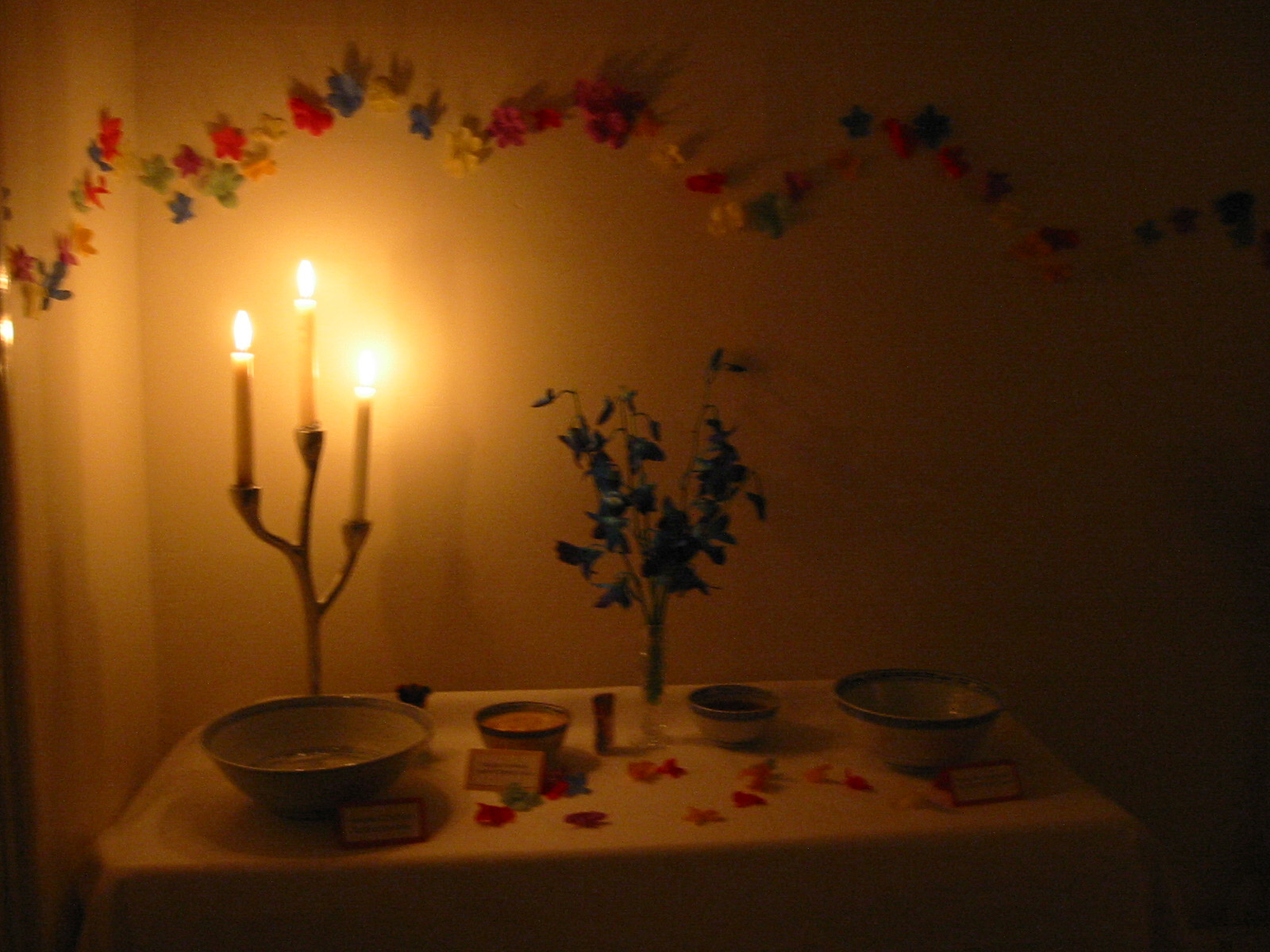 Celebrity Screensaver Wallpaper Picture Theme In The Candle Light