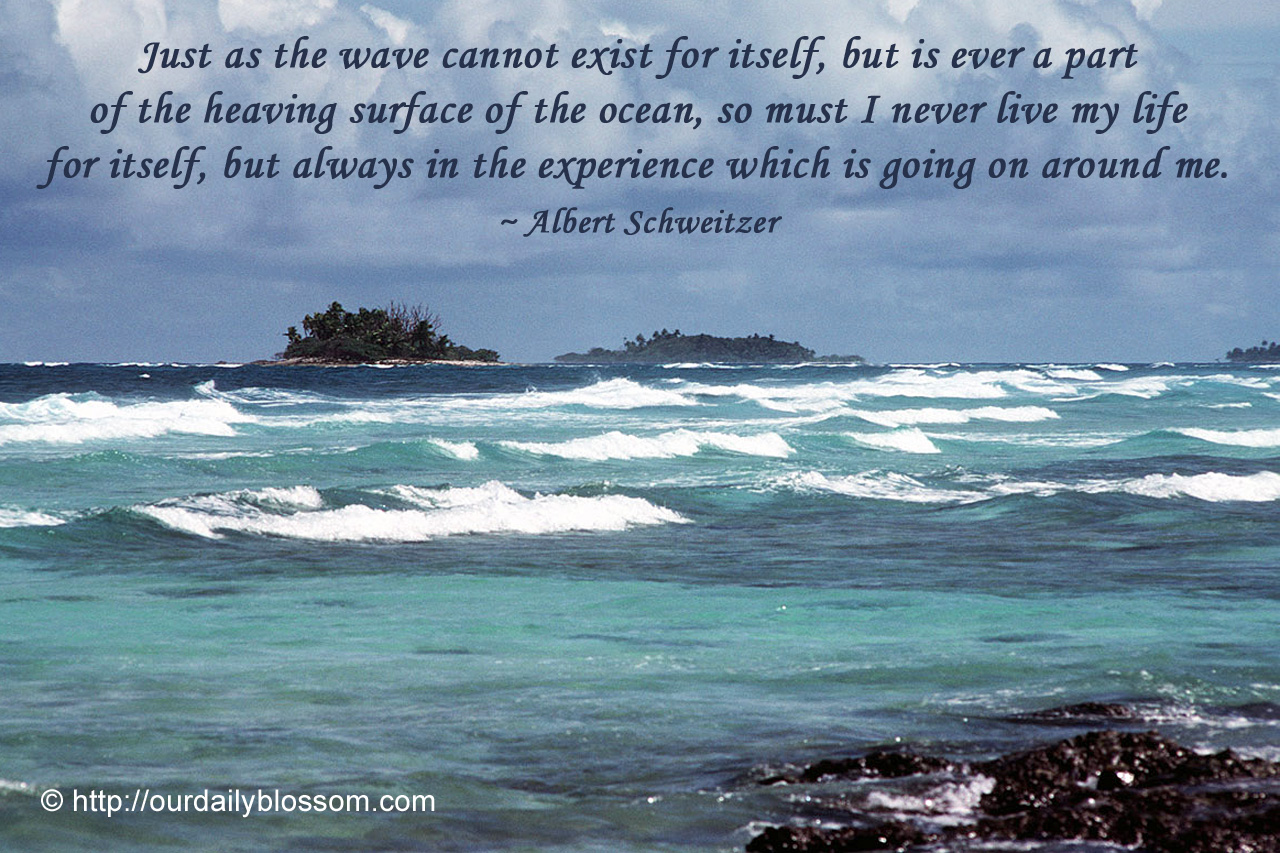 Ocean Quotes About Life. QuotesGram