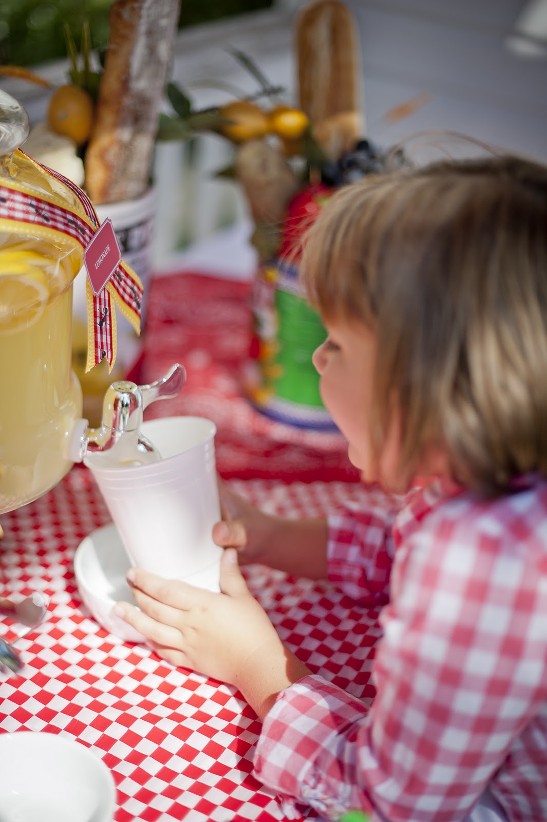 a. party style picnic party