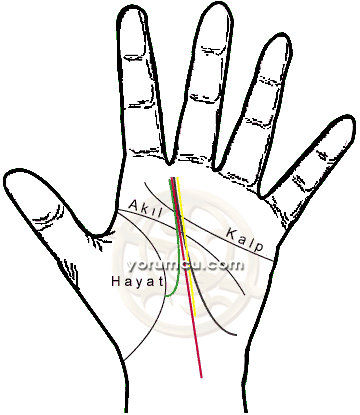 Kahve Falinda Serce Kus Gormek Falkapat Com
