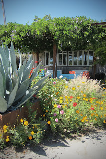 hawkes tasting room in alexander valley