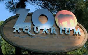 Visita al Zoo!!!