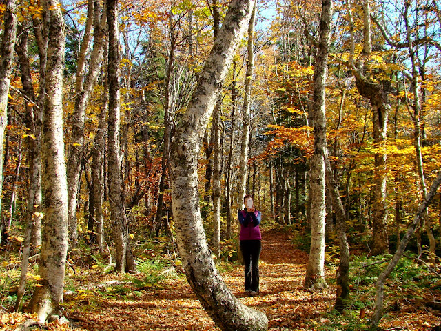 Fundy National Park - A Pinay's Diary