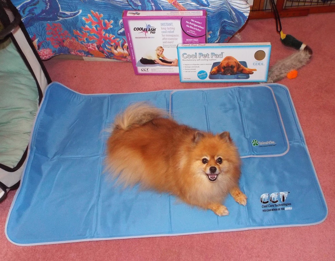 the green pet shop cooling pad reviews