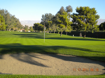 From Behind 11's Green 11-17-11