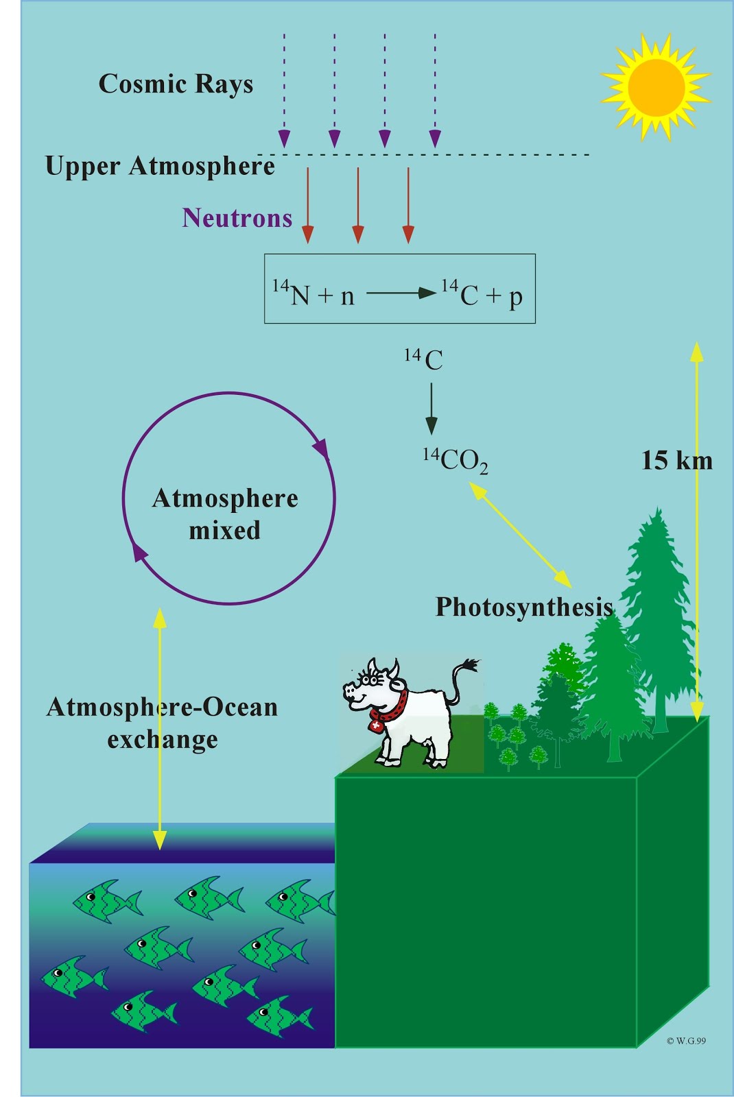 carbon dating