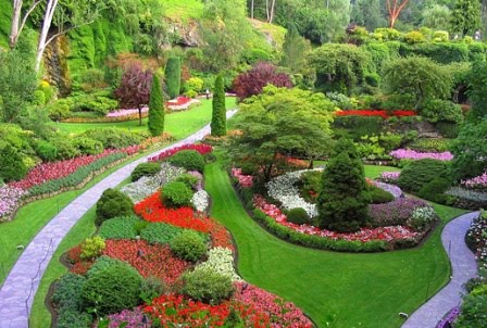 Natures Garden