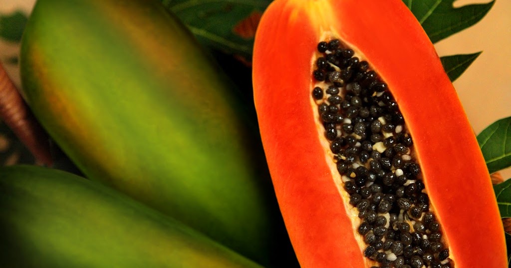 Beragam Manfaat Pepaya (Carica Papaya) Makanan Enak Semarang