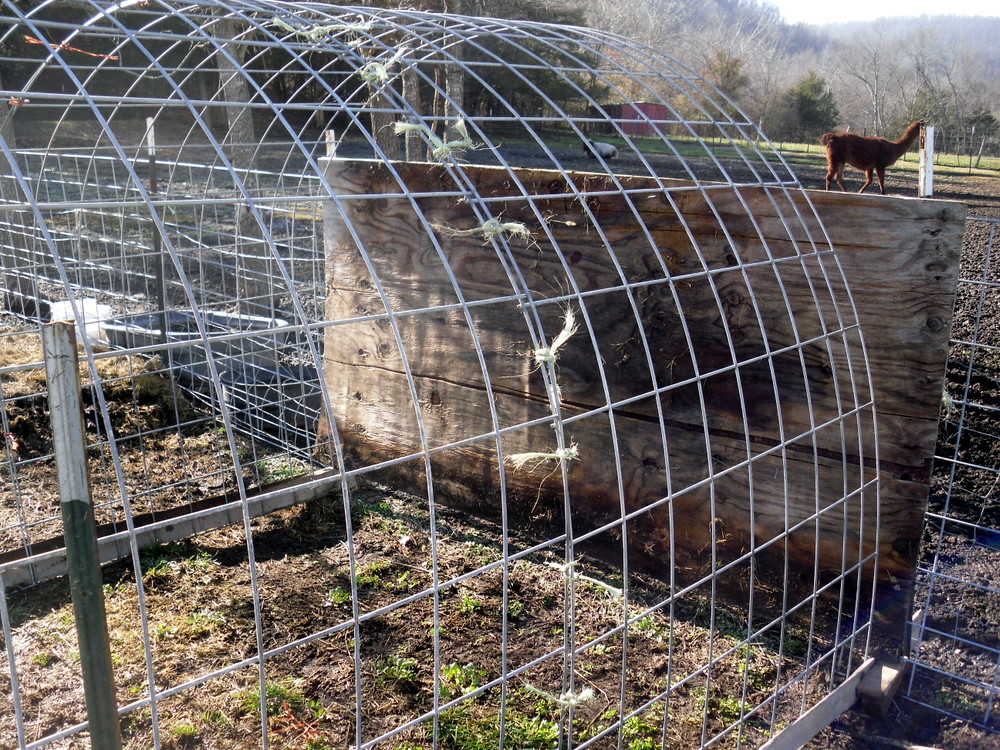 Spinning Dreams and Weaving Yarns Hoop houses for sheep shelters