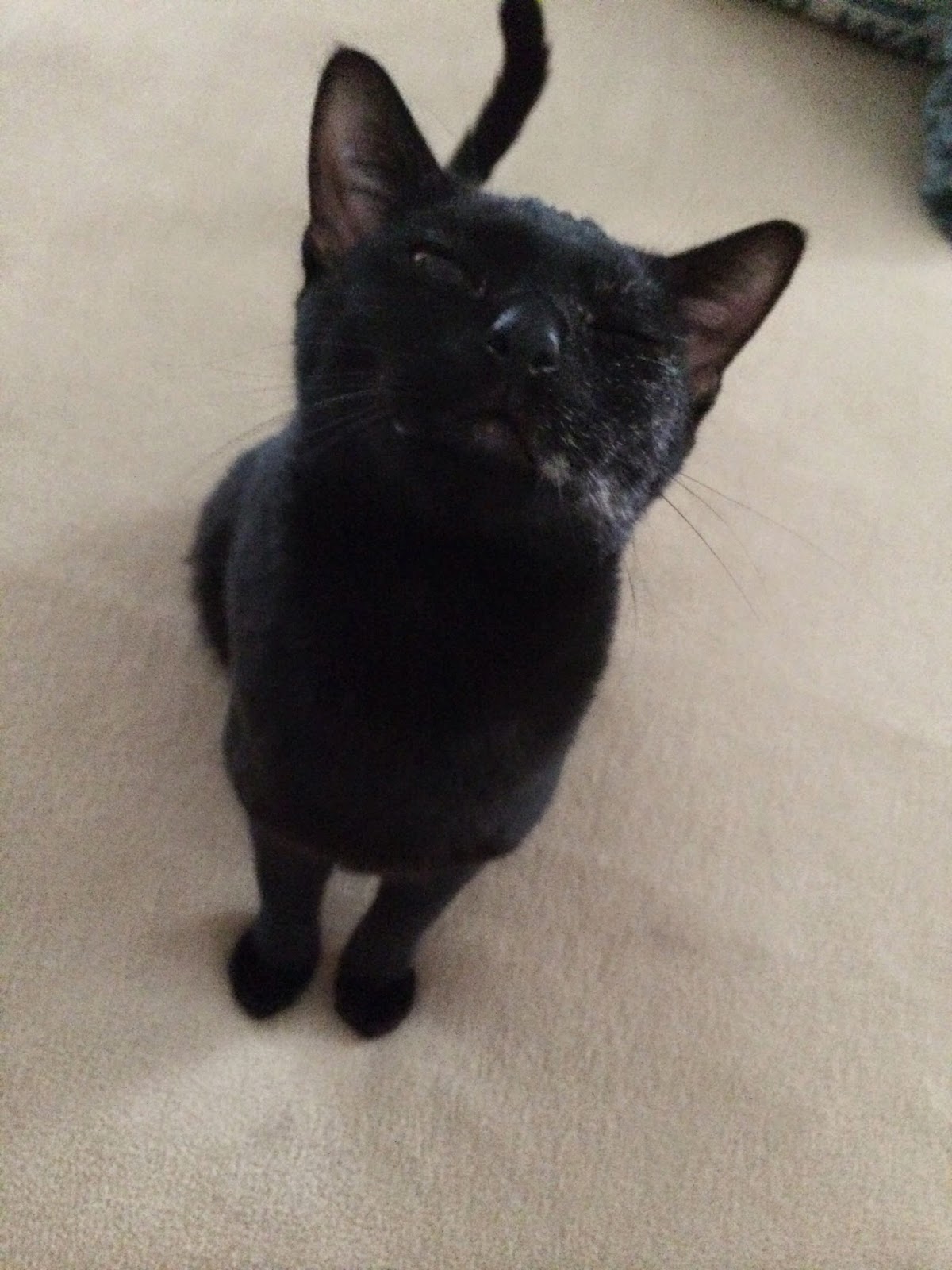 Google Doodle How To Play Halloween Google Doodle Game Great