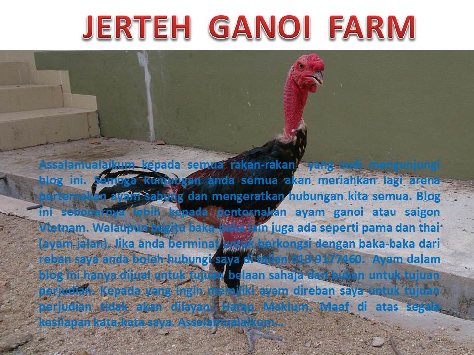 Jerteh Ganoi Farm