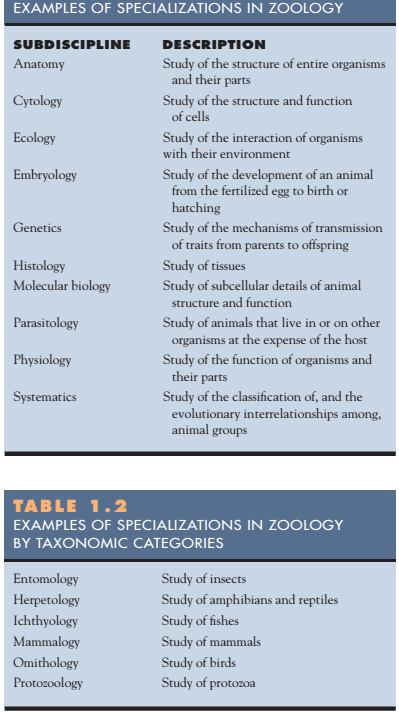 zoology ucsb major sheet