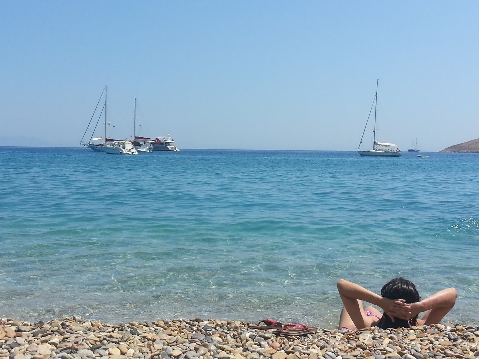 Yollarda Hayat Var Palamut Buku Datca