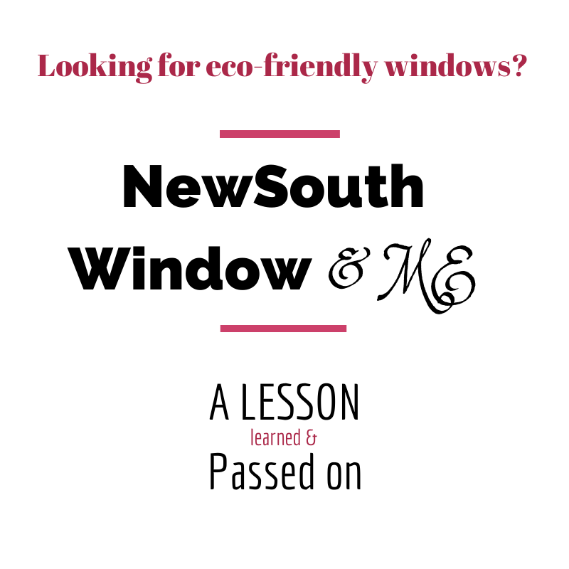 new south windows jacksonville review of newsouth windows ecofriendly contractors what can happen overthrow martha new south windows jacksonville review of newsouth windows ecofriendly contractors what can happen overthrow martha
