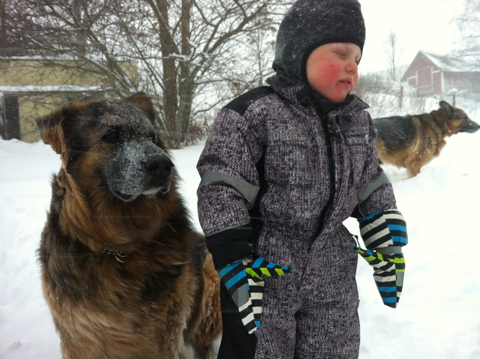 Z &amp; SmithMagenis Syndrom Bitande aktiviteter