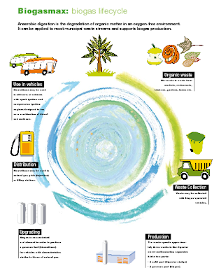 How to Starting a Bio Gas Project Business