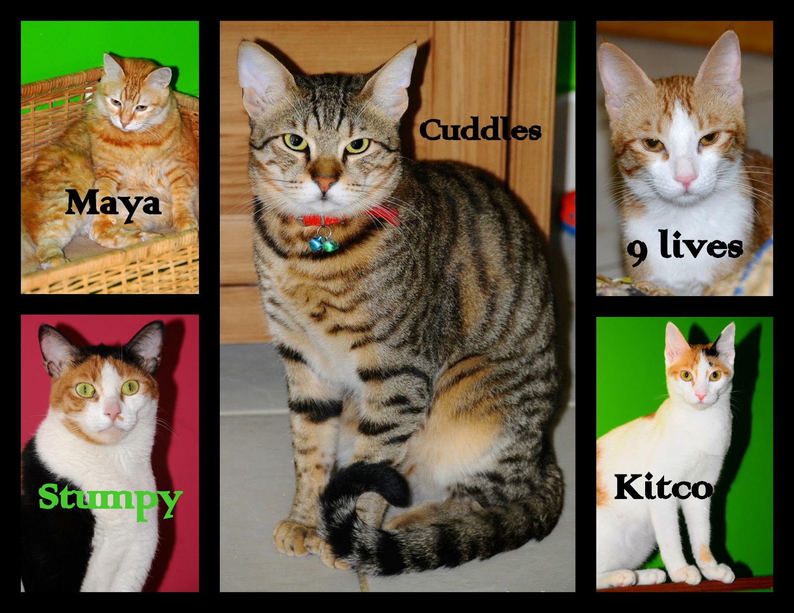 Puppy Rescue Mission