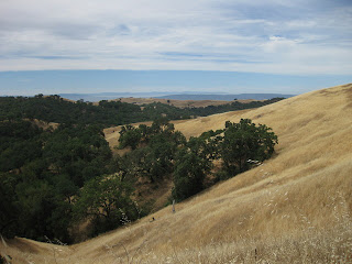 Golden hillside, oak trees, and distant ranges viewed from Dunne Ave, Morgan Hill, CA
