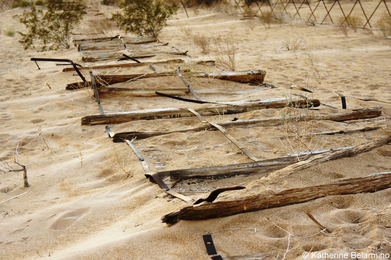 Off the Beaten Path The Plank Road of Southern California Travel the