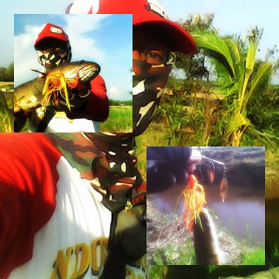 mulai asik pake Nabaw Spinnerbaits