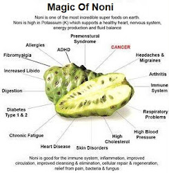 MAGIC OF NONI