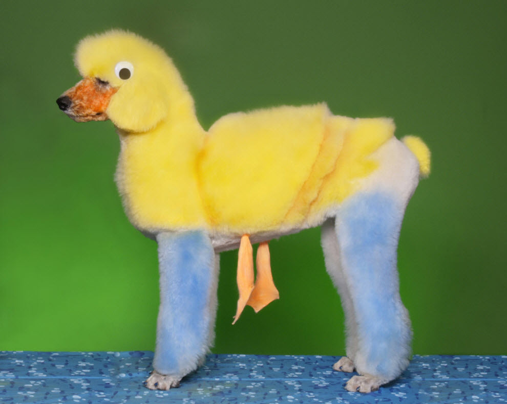 Funny Dogs’ Haircuts