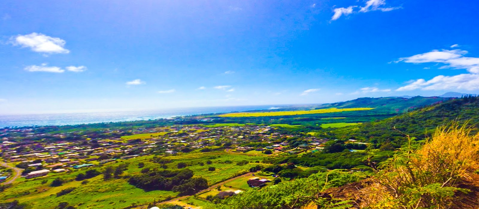 Love of Kauai